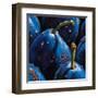 Plums-null-Framed Art Print