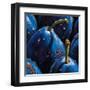 Plums-null-Framed Art Print