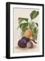 Black Frame