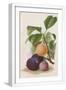 White Frame