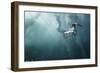 Plunge Diver-Alexander Safonov-Framed Giclee Print