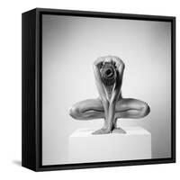 Plus-Arkadiusz Branicki-Framed Stretched Canvas