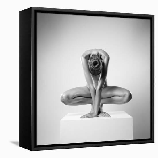 Plus-Arkadiusz Branicki-Framed Stretched Canvas