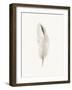 Plush Plume - Pure-The Vintage Collection-Framed Giclee Print