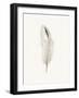 Plush Plume - Pure-The Vintage Collection-Framed Giclee Print