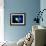 Pluto And Charon And Kuiper Belt-Detlev Van Ravenswaay-Framed Photographic Print displayed on a wall