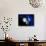 Pluto And Charon And Kuiper Belt-Detlev Van Ravenswaay-Photographic Print displayed on a wall