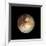 Pluto-Friedrich Saurer-Framed Photographic Print