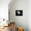 Pluton, its Big Moon Charon and the Polaris Star-null-Framed Stretched Canvas displayed on a wall