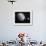 Pluton, its Big Moon Charon and the Polaris Star-null-Framed Art Print displayed on a wall