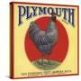 Plymouth Brand - San Fernando, California - Citrus Crate Label-Lantern Press-Stretched Canvas