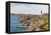 Plymouth, from the Citadel-Alfred Robert Quinton-Framed Stretched Canvas