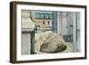 Plymouth Rock-null-Framed Art Print