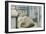 Plymouth Rock-null-Framed Art Print