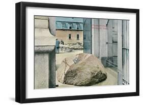 Plymouth Rock-null-Framed Art Print