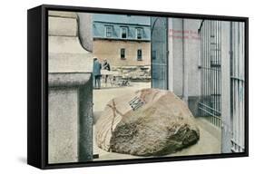 Plymouth Rock-null-Framed Stretched Canvas