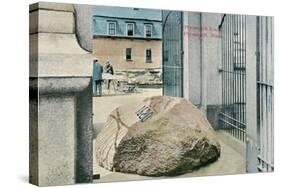 Plymouth Rock-null-Stretched Canvas