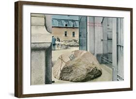 Plymouth Rock-null-Framed Art Print