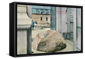 Plymouth Rock-null-Framed Stretched Canvas