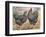 Plymouth Rocks-J^ W^ Ludlow-Framed Premium Giclee Print