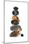 Wood Mount