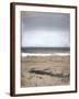Chelsea Espresso