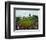 PNC Park 2010-null-Framed Photographic Print