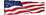 Pnoramic American Flag-null-Stretched Canvas