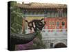 Po Lin Monastery, Lantau Island, Hong Kong, China-Amanda Hall-Stretched Canvas