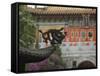Po Lin Monastery, Lantau Island, Hong Kong, China-Amanda Hall-Framed Stretched Canvas