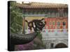 Po Lin Monastery, Lantau Island, Hong Kong, China-Amanda Hall-Stretched Canvas