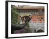 Po Lin Monastery, Lantau Island, Hong Kong, China-Amanda Hall-Framed Photographic Print