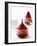 Poached Pears in Red Wine-Debi Treloar-Framed Premium Photographic Print