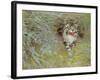 Poaching Cat, 1910-Jean Bloé Niestle-Framed Giclee Print