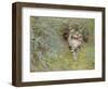 Poaching Cat, 1910-Jean Bloé Niestle-Framed Giclee Print