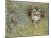 Poaching Cat, 1910-Jean Bloé Niestle-Mounted Giclee Print