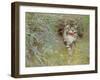 Poaching Cat, 1910-Jean Bloé Niestle-Framed Giclee Print