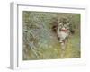 Poaching Cat, 1910-Jean Bloé Niestle-Framed Giclee Print