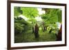 Poas Volcano National Park.-Stefano Amantini-Framed Photographic Print