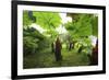 Poas Volcano National Park.-Stefano Amantini-Framed Photographic Print