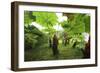 Poas Volcano National Park.-Stefano Amantini-Framed Photographic Print