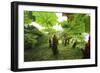 Poas Volcano National Park.-Stefano Amantini-Framed Photographic Print