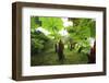 Poas Volcano National Park.-Stefano Amantini-Framed Photographic Print