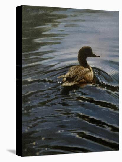 Pochard 1-Michael Jackson-Stretched Canvas