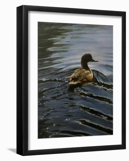 Pochard 1-Michael Jackson-Framed Giclee Print