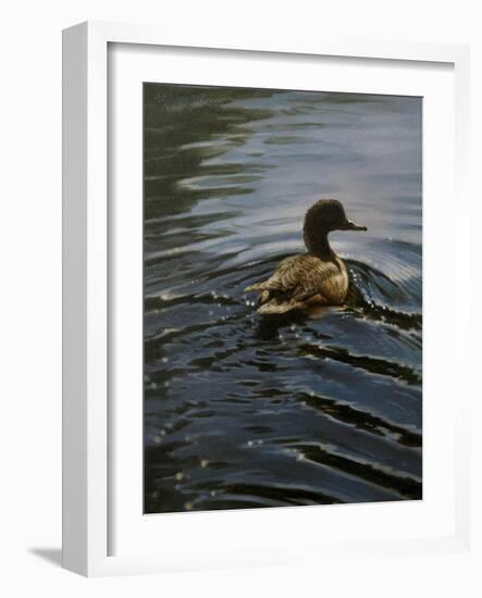 Pochard 1-Michael Jackson-Framed Giclee Print