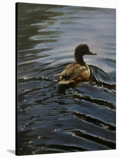 Pochard 1-Michael Jackson-Stretched Canvas