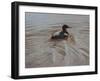 Pochard 2-Michael Jackson-Framed Giclee Print