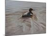 Pochard 2-Michael Jackson-Mounted Giclee Print