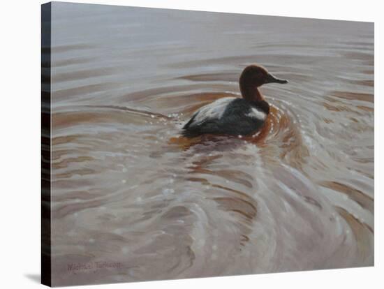 Pochard 2-Michael Jackson-Stretched Canvas